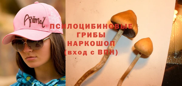 героин Алзамай
