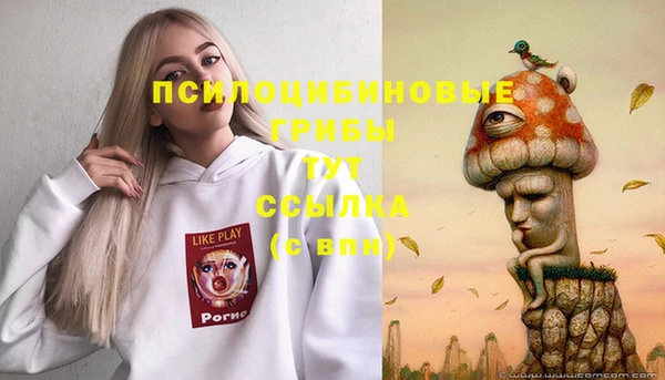 героин Алзамай