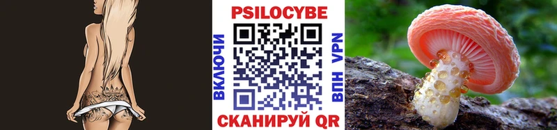 Галлюциногенные грибы Cubensis  даркнет сайт  Зерноград 